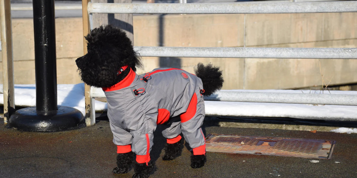 Fashion Forward: How Body Suits Enhance Comfort and Style for Dogs