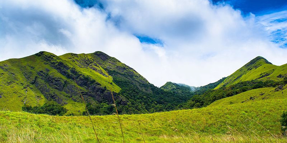 Wayanad: Discovering Tranquility in the Heart of Kerala - A Must-Visit Destination in Kerala Trip Packages