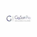 Gigsoft Pro