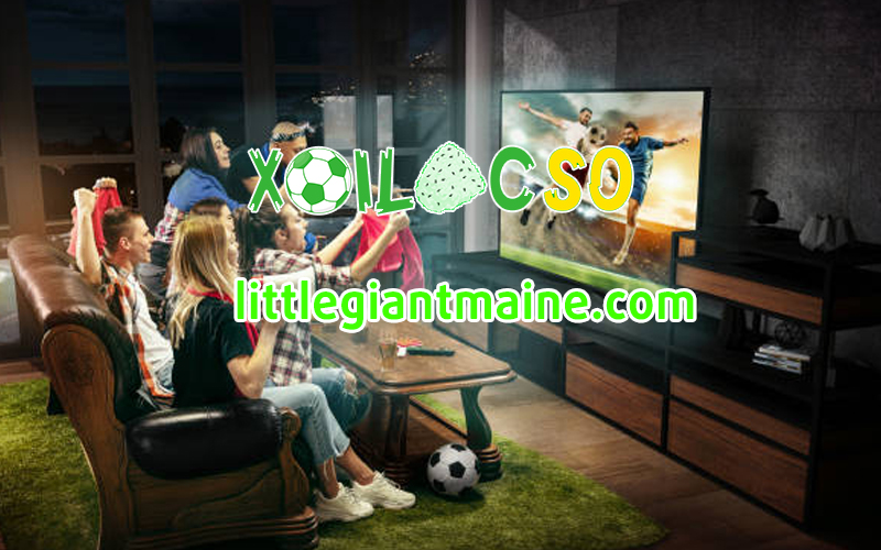 Xoilac So - Trang web cung cấp Livescore hàng đầu hiện nay