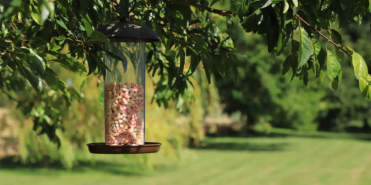 Our Feathered Friends: Exploring the Best Bird Food Options in the UK