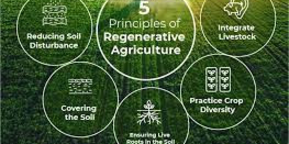 Global Regenerative Agriculture Market Size, Share, Forecast 2023 – 2033