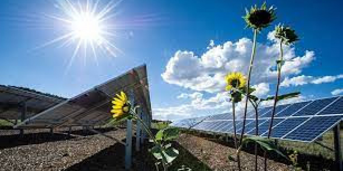 Photovoltaic Market: Assessment, Worldwide Growth, Key Players, Analysis and Forecast to 2030