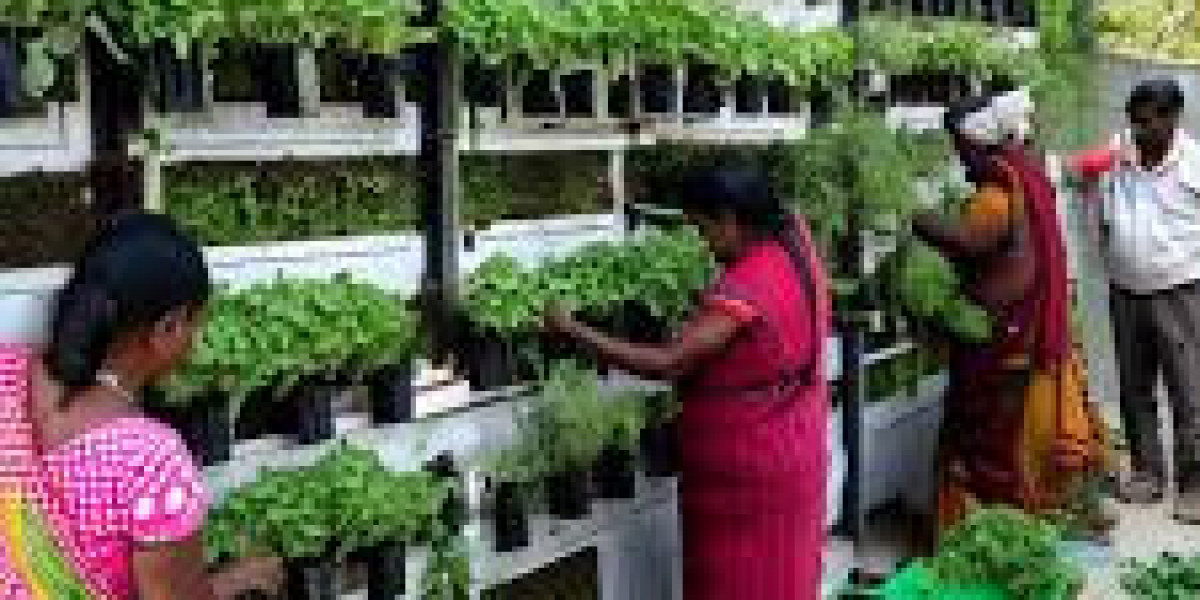 India's Vertical Farming Market : Size, Share, Trends, Key Opinion Leaders | Market Performance and Forecast by 203