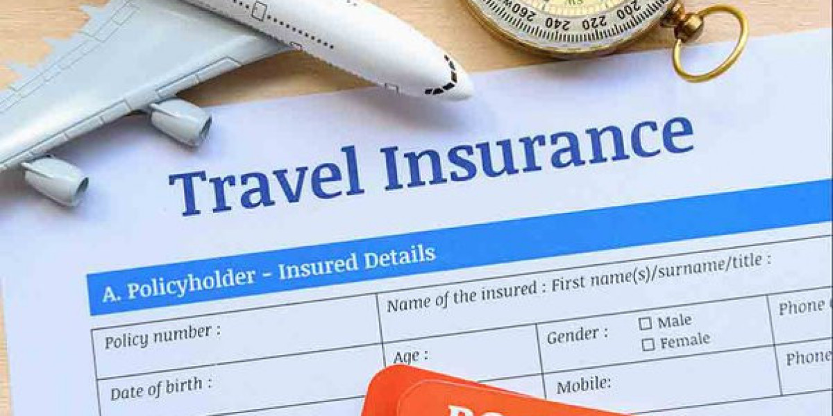 Navigating Health on the Go: How to Choose a Travel Insurance That Works for You Insurance