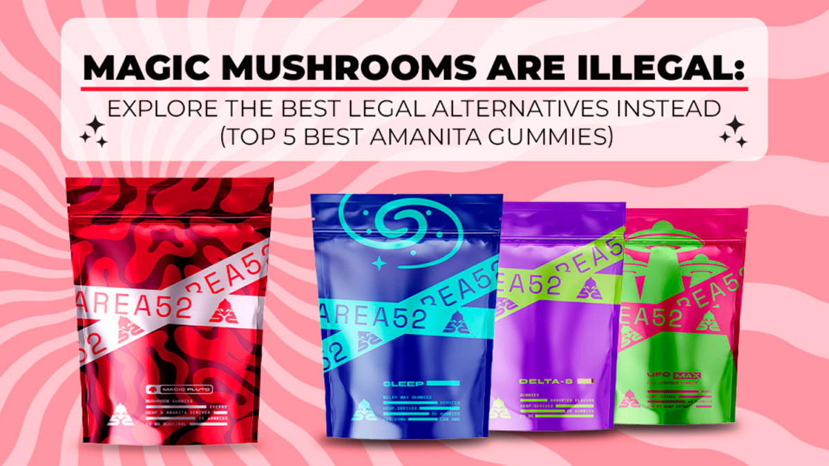 Best Amanita Muscaria Gummies: Top 6 Brands Reviewed | OnlyMyHealth