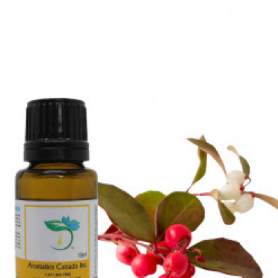 Wintergreen Organic Essential Oil Profile Picture