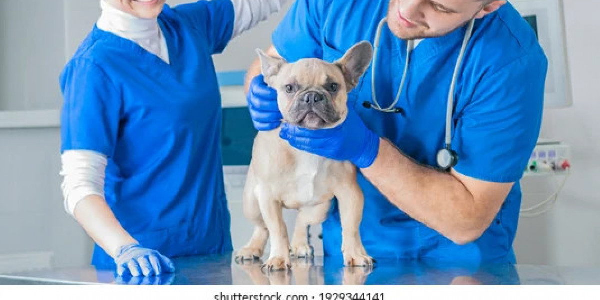 Veterinary Vaccine Market Size, Share Analysis, Key Companies, and Forecast To 2030