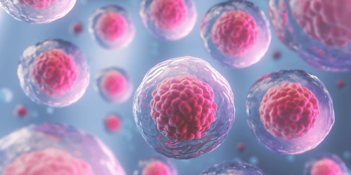 Stem Cells Market Key Players, Size, Share, Analysis 202 and Forecast To 2032