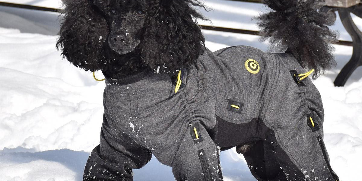 Ultimate Guide to Choosing the Perfect Full Body Snowsuit for Your Dog