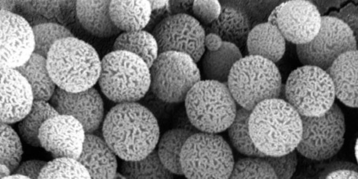Mesoporous Silica Market Report by Growth Enablers, Geography, Restraints and Trends - Global Forecast To 2032