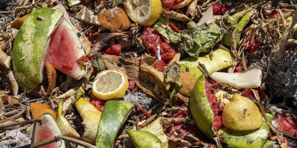 Food Waste Management Market 2022 Global Outlook, Research, Trends and Forecast to 2032
