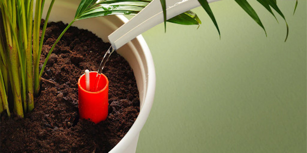 Benefits Of Self-Watering Pots: Why They're Worth The Investment