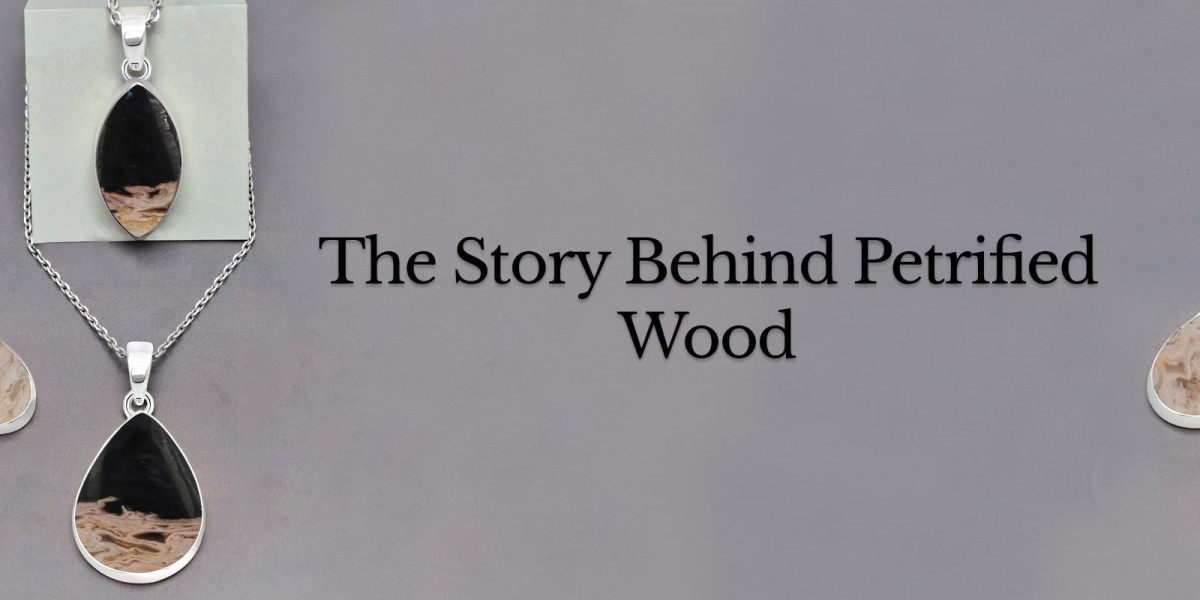 Petrified Wood Meaning, History, Healing Properties, Uses and Cleansing