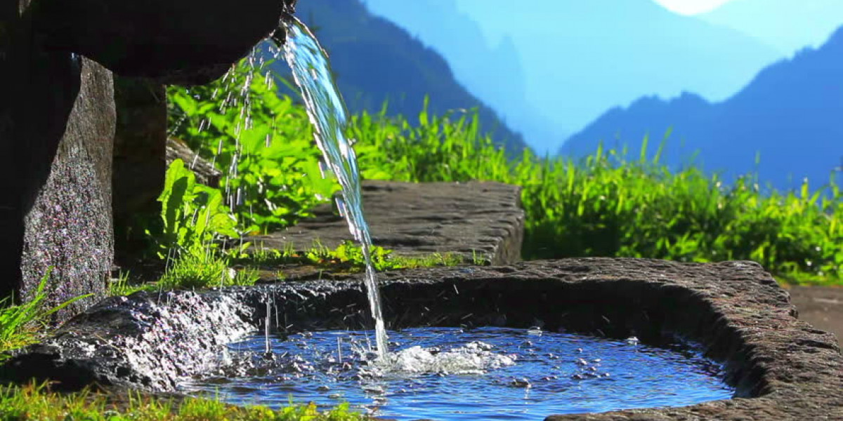 Crystal Clear Future: Analyzing Trends and Growth Opportunities in the Spring Water Market