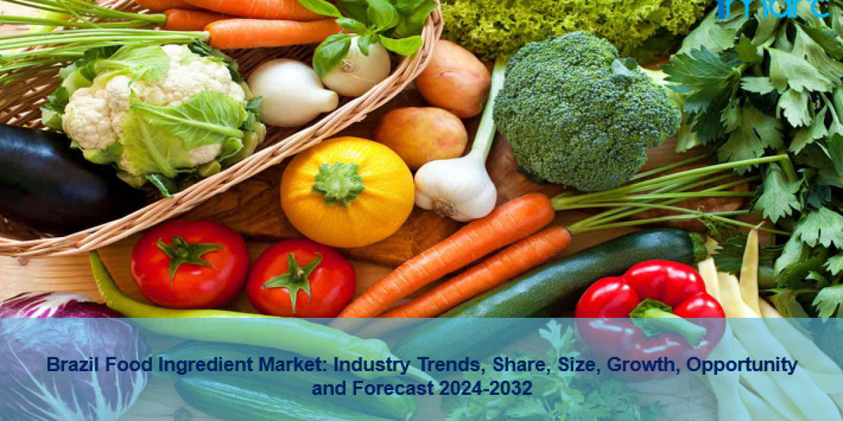 Brazil Food Ingredient Market Demand, Business Opportunities 2024-2032