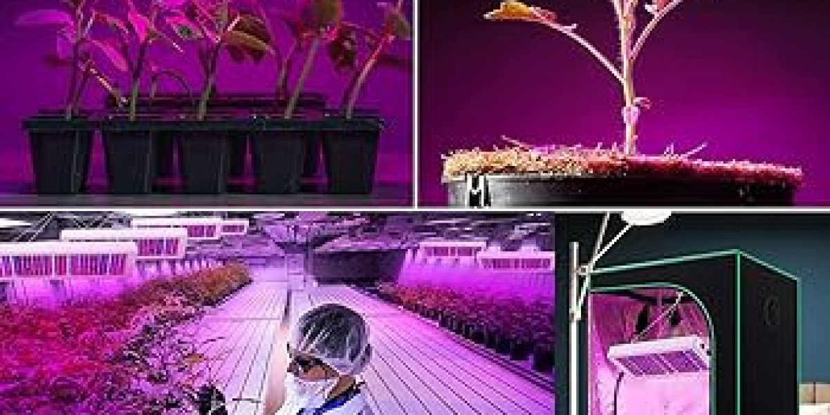 LED Grow Light Market : Forecast, Business Strategy, Research Analysis on Competitive landscape and Key Vendors 2030
