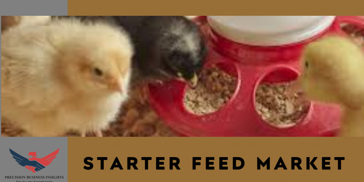 Starter Feed Market Overview, Outlook, Research Data Forecast 2024