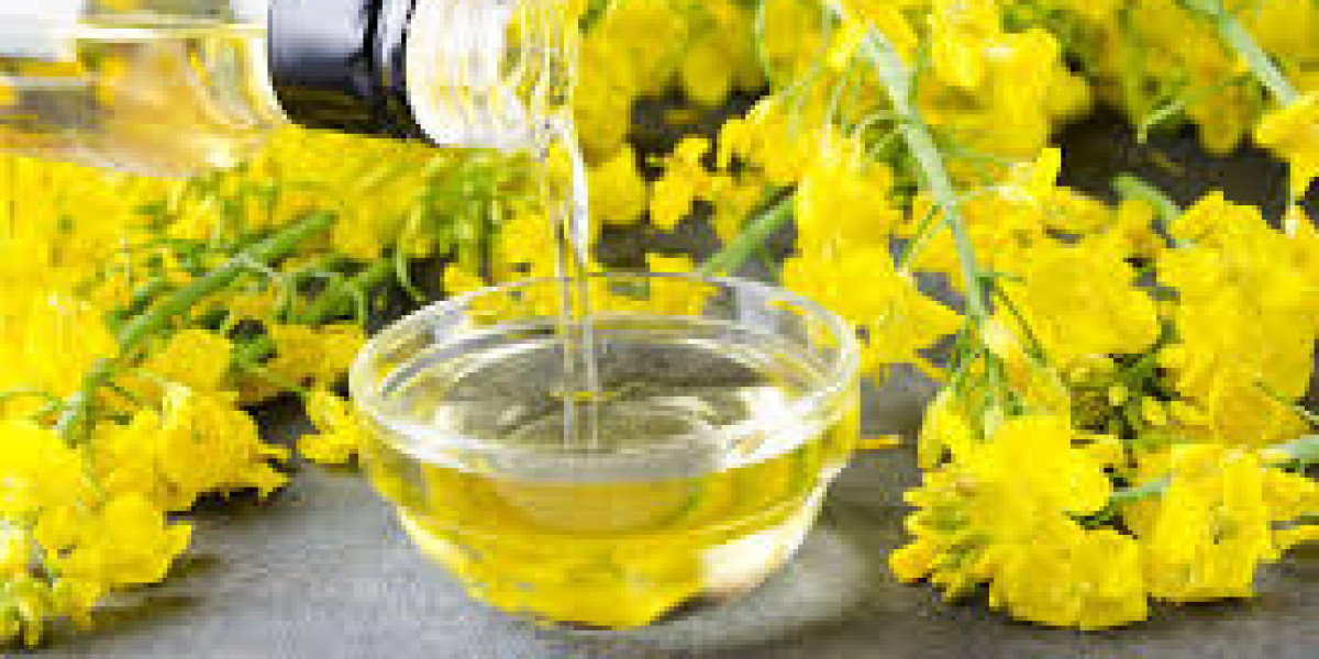 Rapeseed Oil Prices Trend, Monitor, News & Forecast | ChemAnalyst