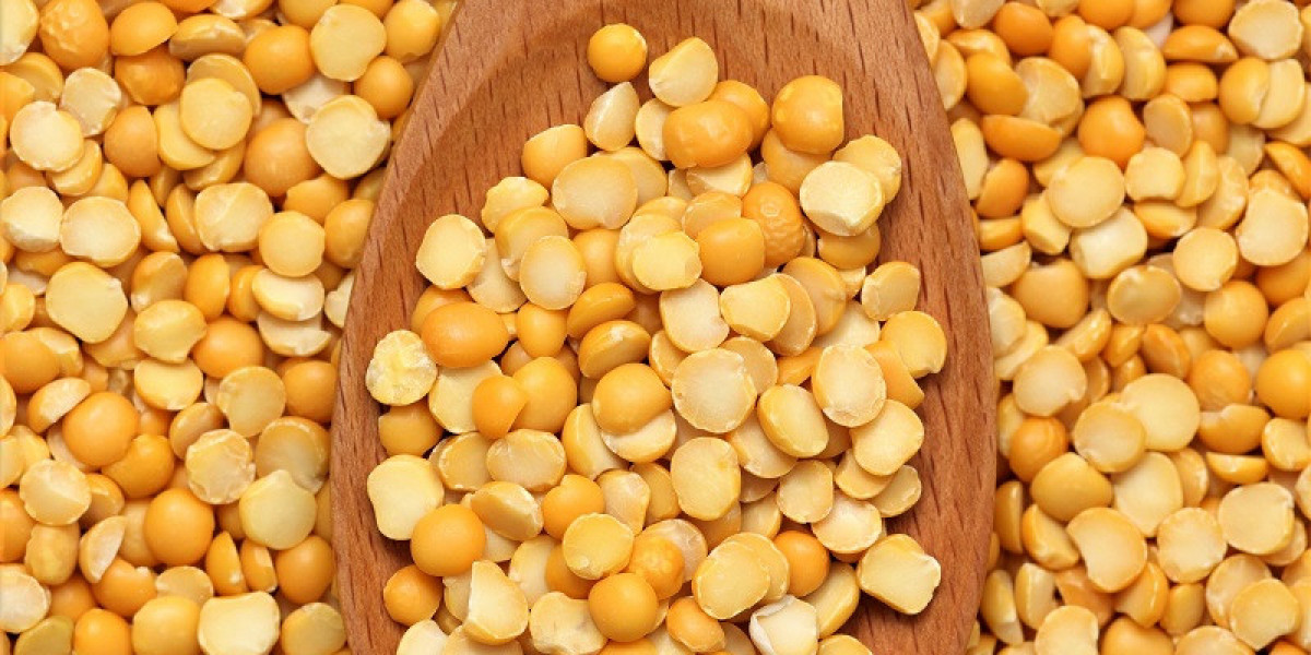 Harnessing the Power of Yellow Pea Protein: Market Trends and Insights