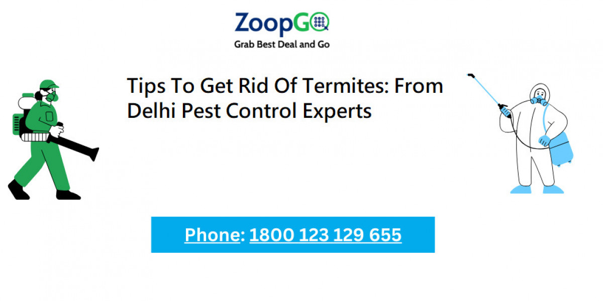 Tips To Get Rid Of Termites: From Delhi Pest Control Experts