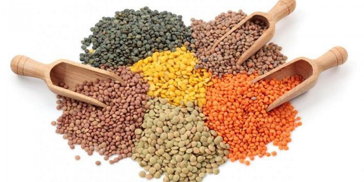 Tapping into the Lentil Protein Boom: Market Trends and Insights