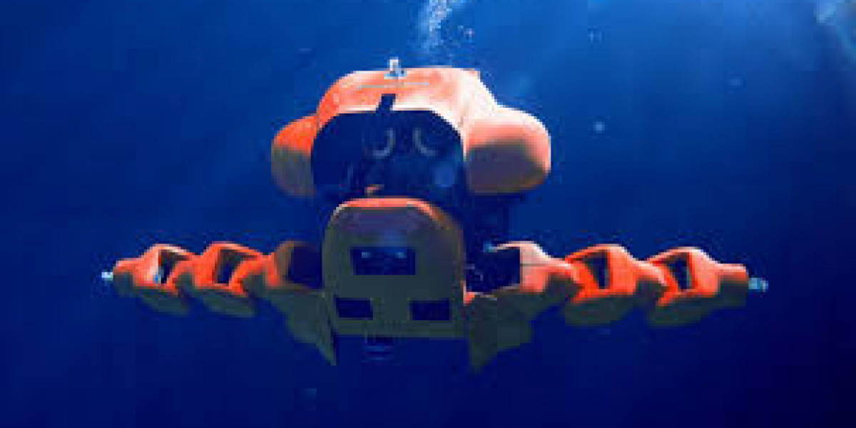 Underwater Robotics Market : Analysis by Service Type, by Vertical