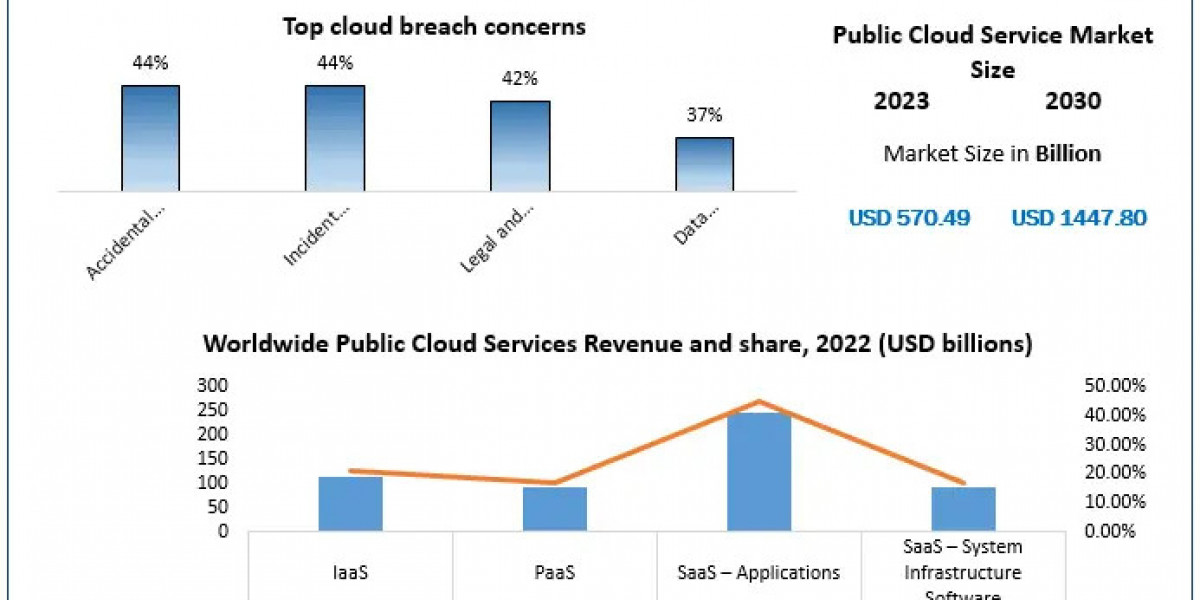 Analyzing Regulatory Compliance in the Public Cloud Service Market 2023-2029