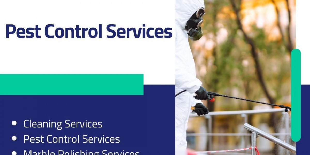 Effective Pest Control Services in Abu Dhabi: Spotlight on Smart Care
