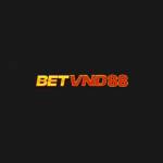 BETVND CLUB