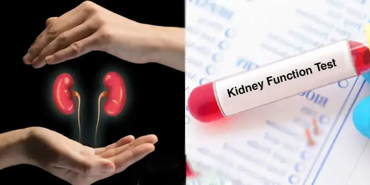 Kidney Function Test on Agilus Diagnostics App