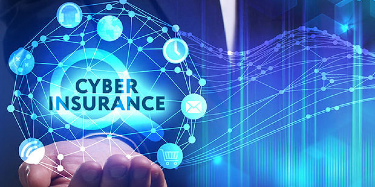 Japan Cyber Insurance Market Size, Share, Trends, Growth and Opportunities 2024-2032