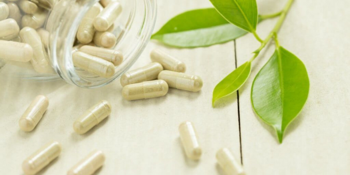Nourishing Trends: Insights into the Evolving Energy Supplements Industry