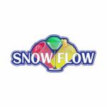 Snow Flow profile picture