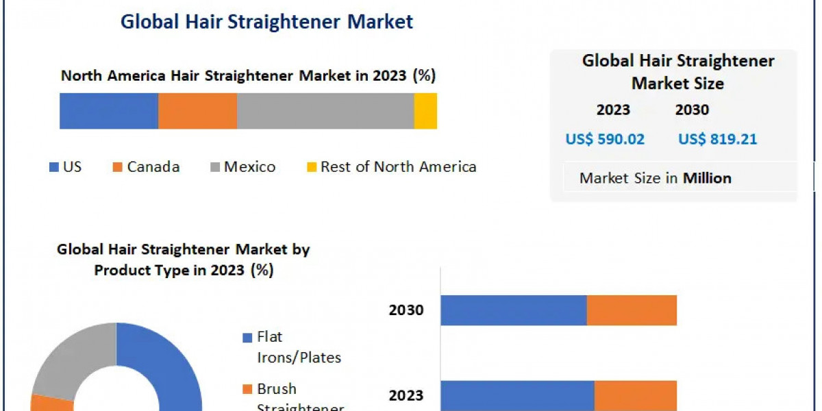 Hair Straightener Market Outlook 2024-2030: Transforming Communication in Various Sectors
