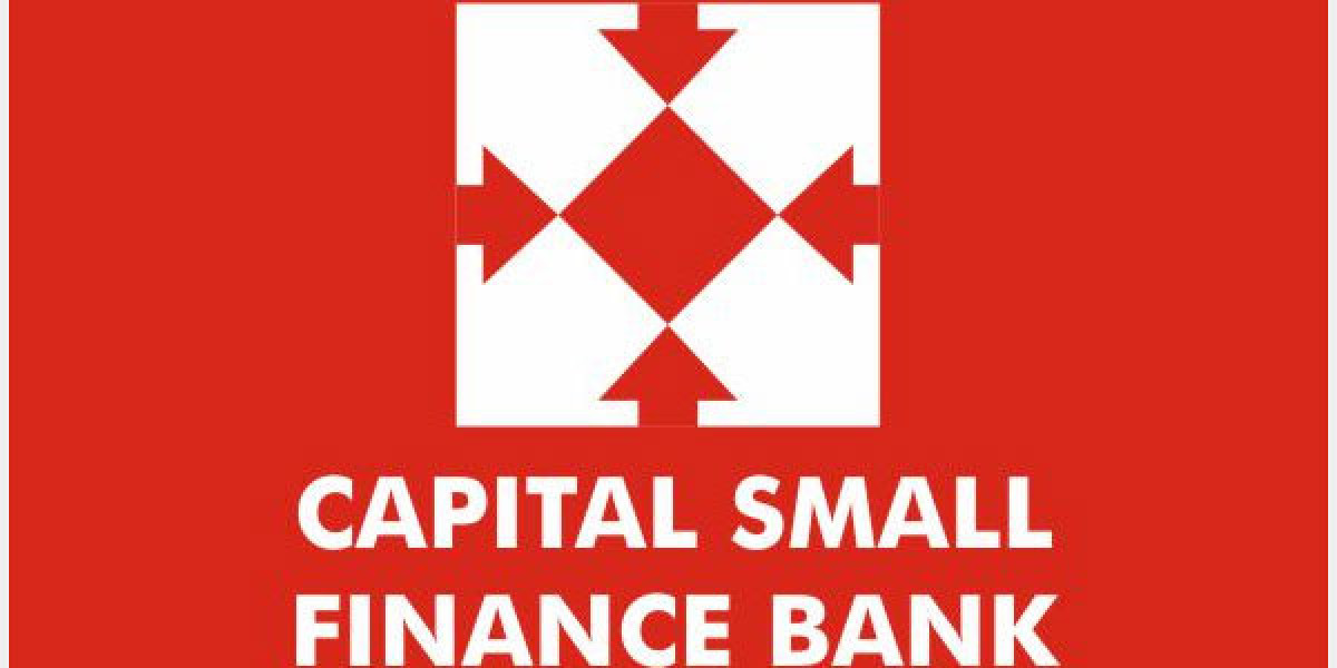 Is Capital Small Finance Bank Stock a Good Investment?