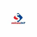 Soi cau 247 org