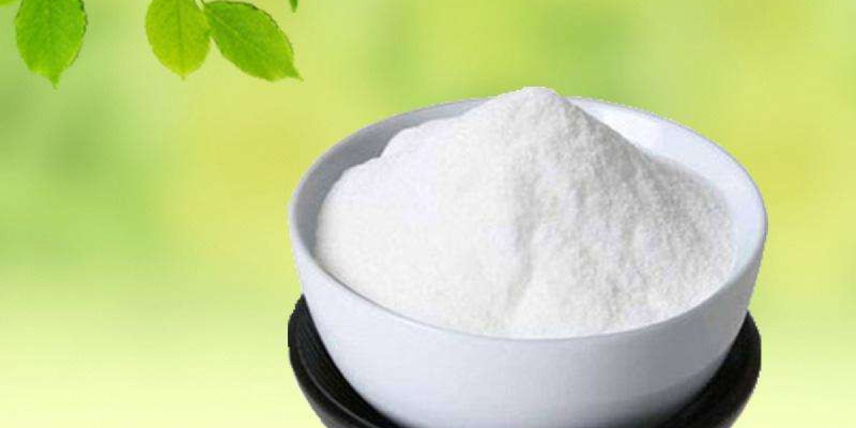 Unveiling Opportunities: Key Players in the Inulin and Fructooligosaccharide Market