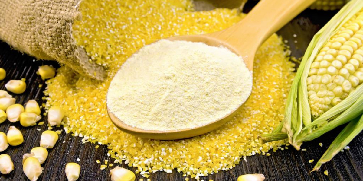 Convenience and Versatility: Key Factors Fueling Precooked Corn Flour Market Growth