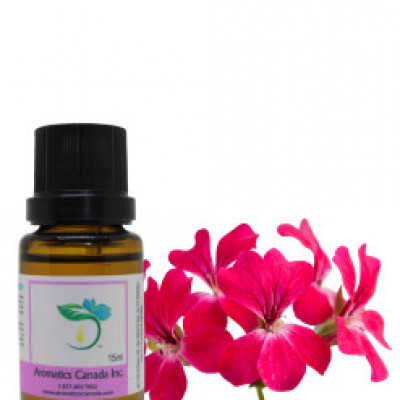 Rose Geranium Organic Essential Oil Profile Picture