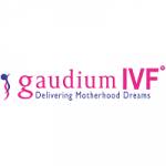 Gaudium IVF