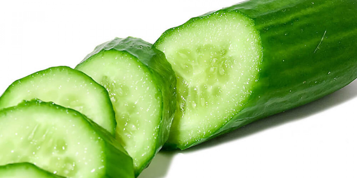 Cucumber Extract Manufacturers and Suppliers in India