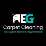 AEG Carpet Cleaning