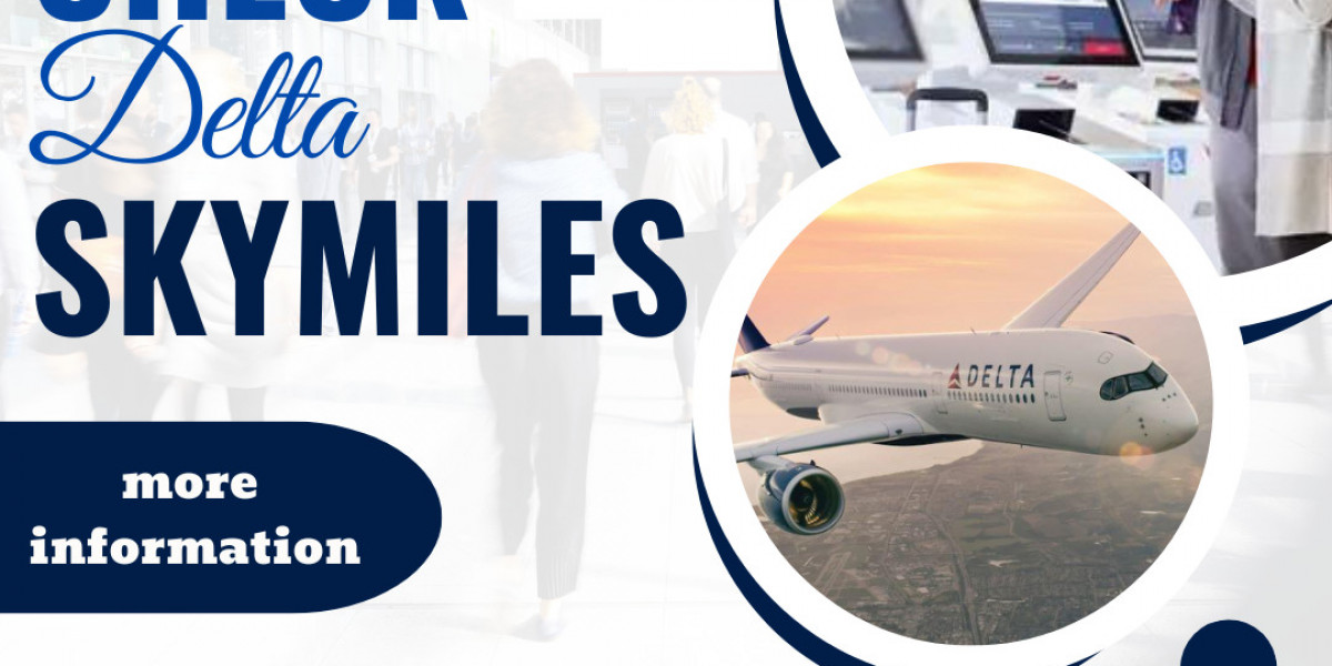 Check Delta SkyMiles