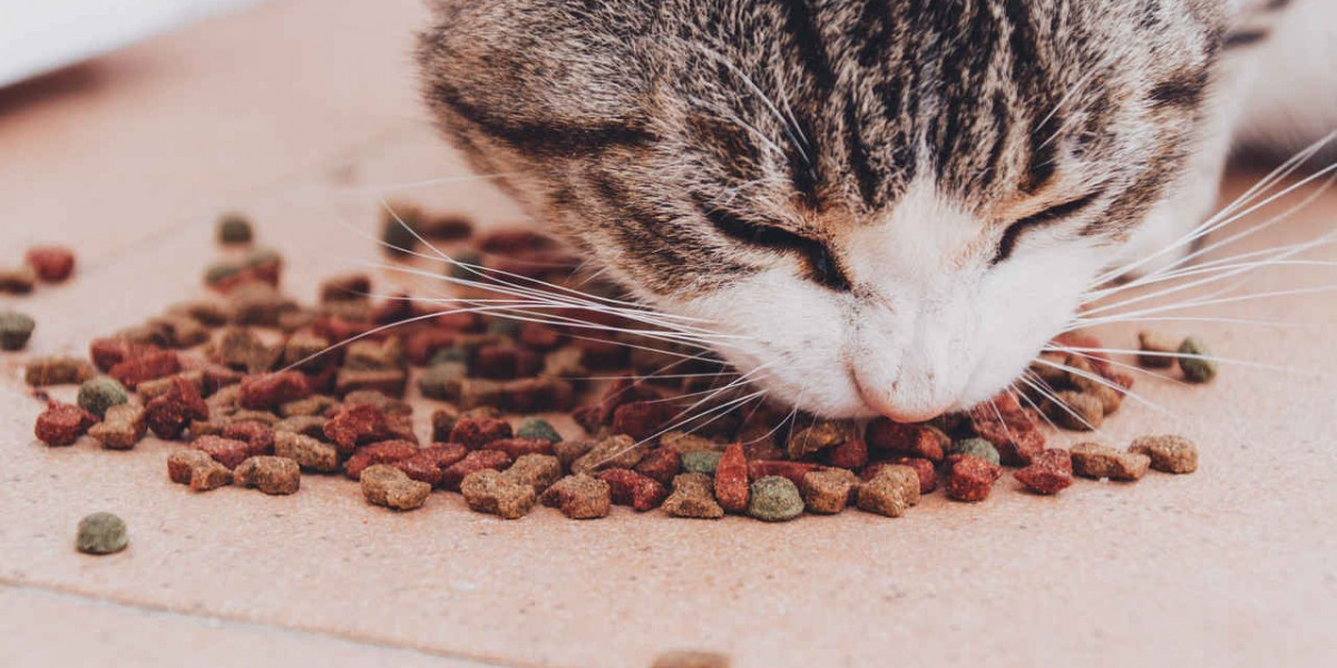 Kedi Maması Seçiminde Dikkat Edilmesi Gerekenler