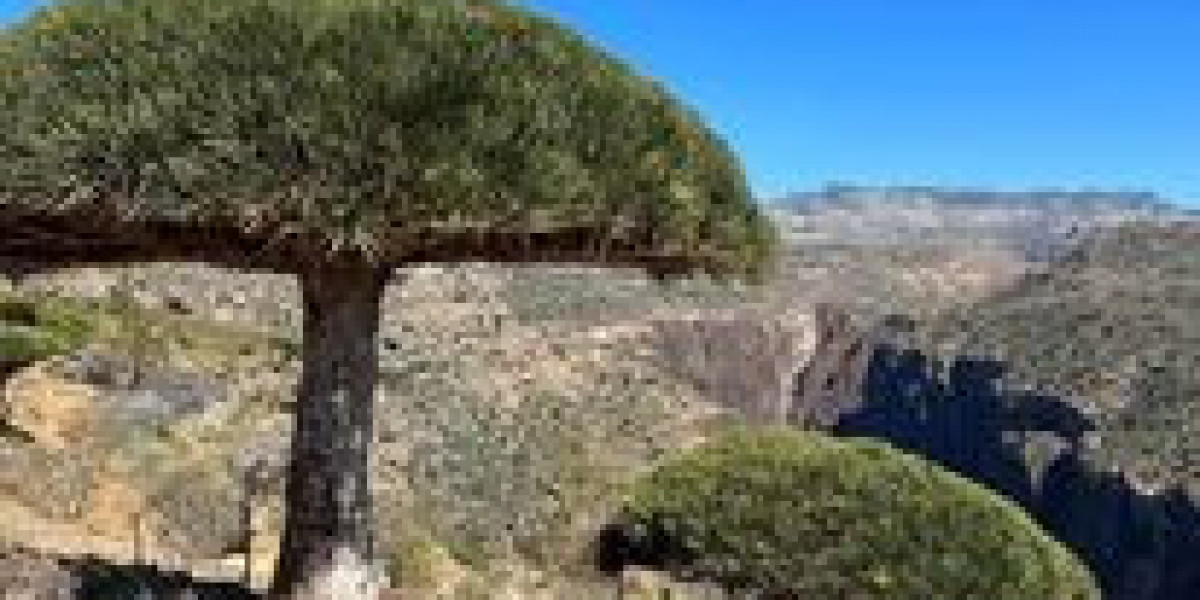 Understand These Facts about Socotra Eco Tours