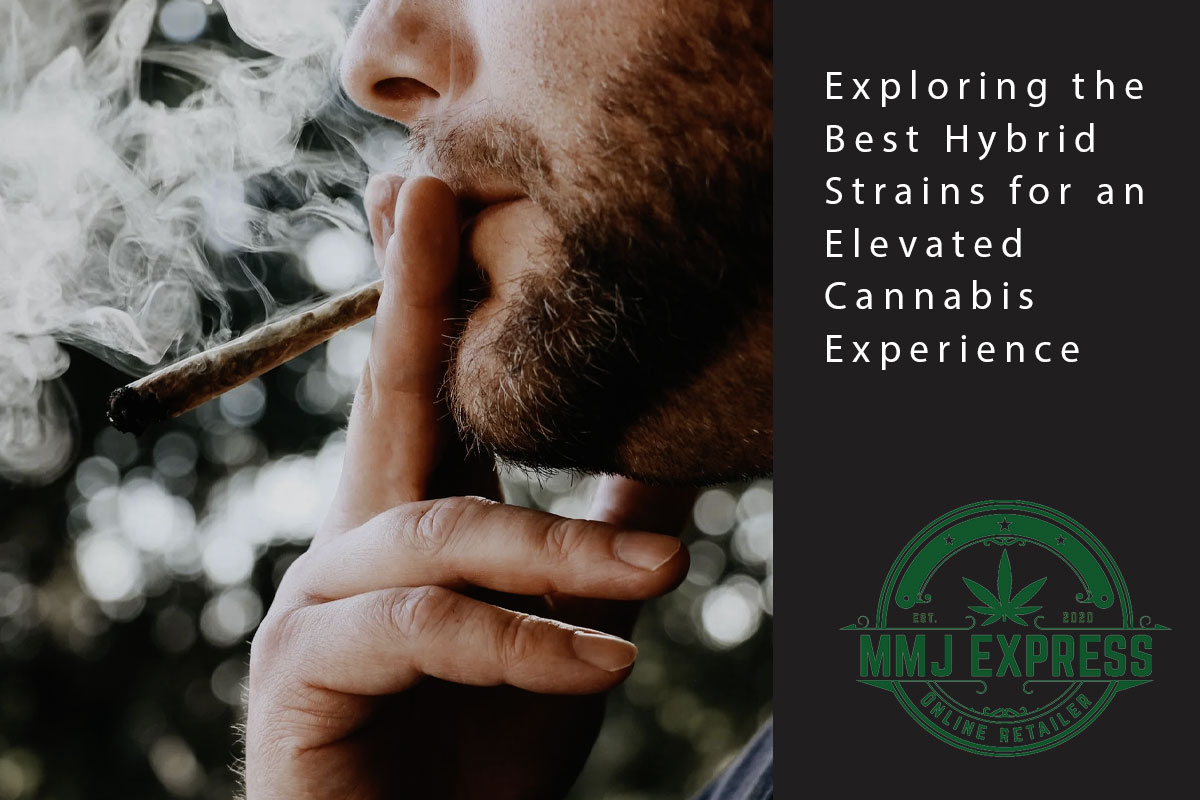 Exploring the Best Hybrid Strains for an Elevated Cannabis Experience - MMJ Express