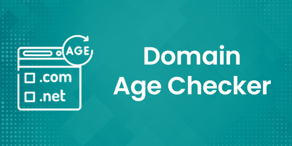 The Complete Guide to Domain Age Checker: Importance, Benefits, and Best Practices