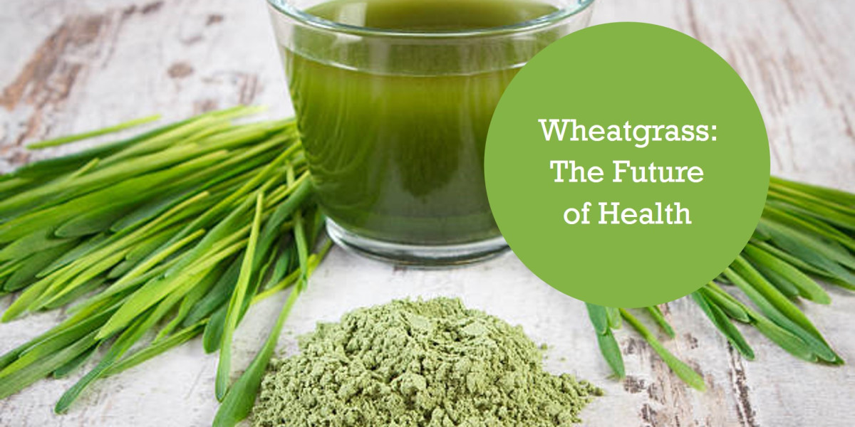 Wheatgrass Products Market Revenue Analysis, Regional Trends, Demand, Forecast