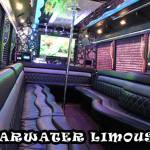 Clearwater Limousine